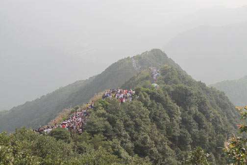 縱情山水，激蕩智慧——TANK007重陽節(jié)帶您一起登高梧桐山